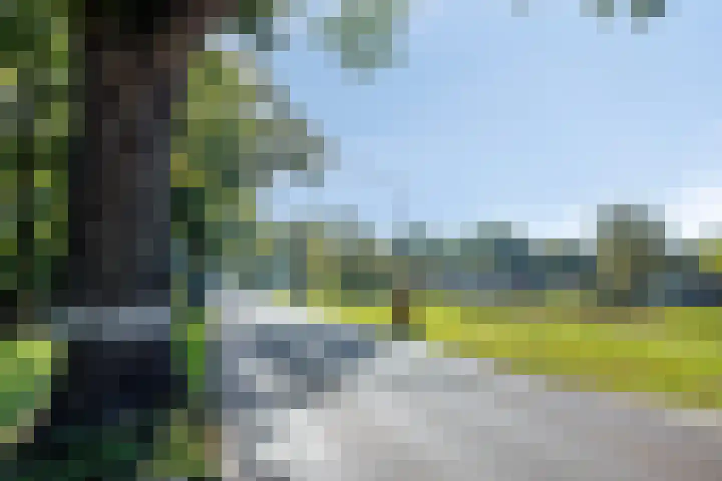 Dennenlaan 11 Norg thumbnail 59