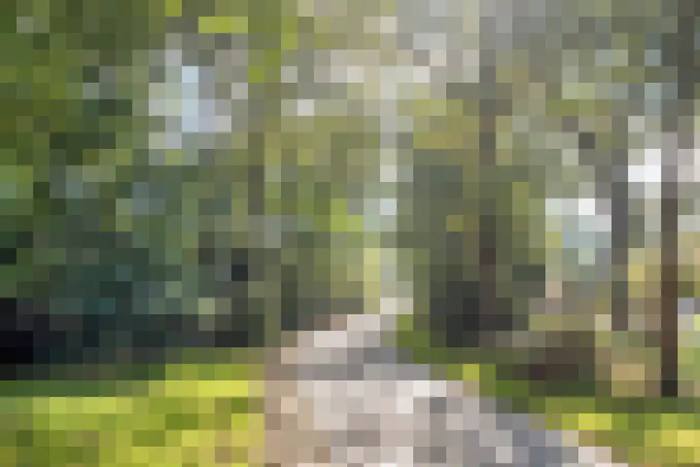 Dennenlaan 11 Norg thumbnail 61