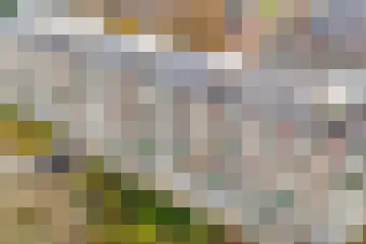 Dennenlaan 115 Ede thumbnail 32