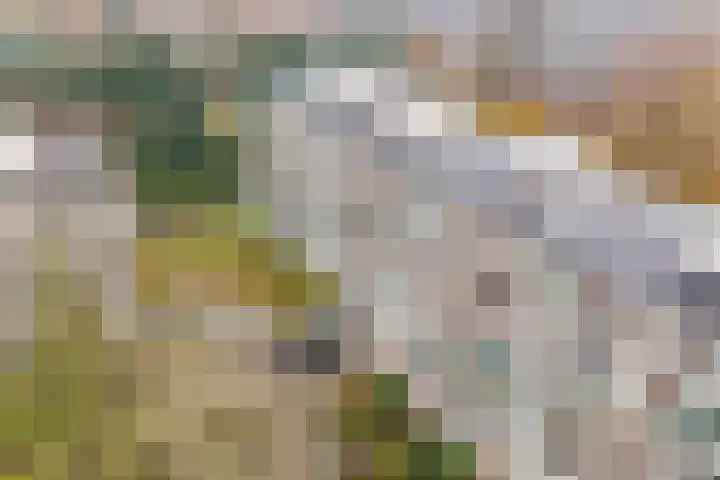 Dennenlaan 115 Ede thumbnail 34