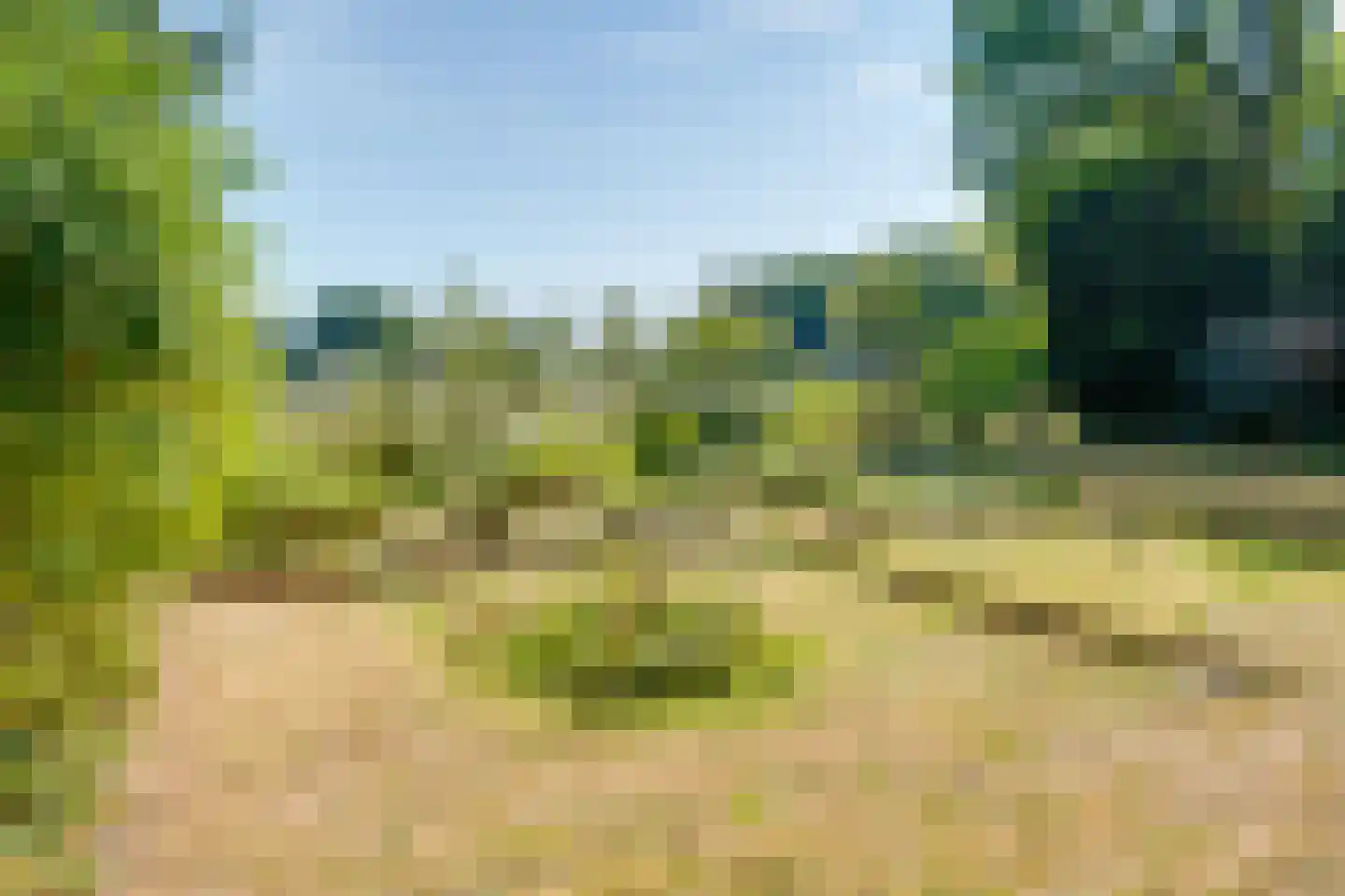 Dennenlaan 12 Barchem thumbnail 28