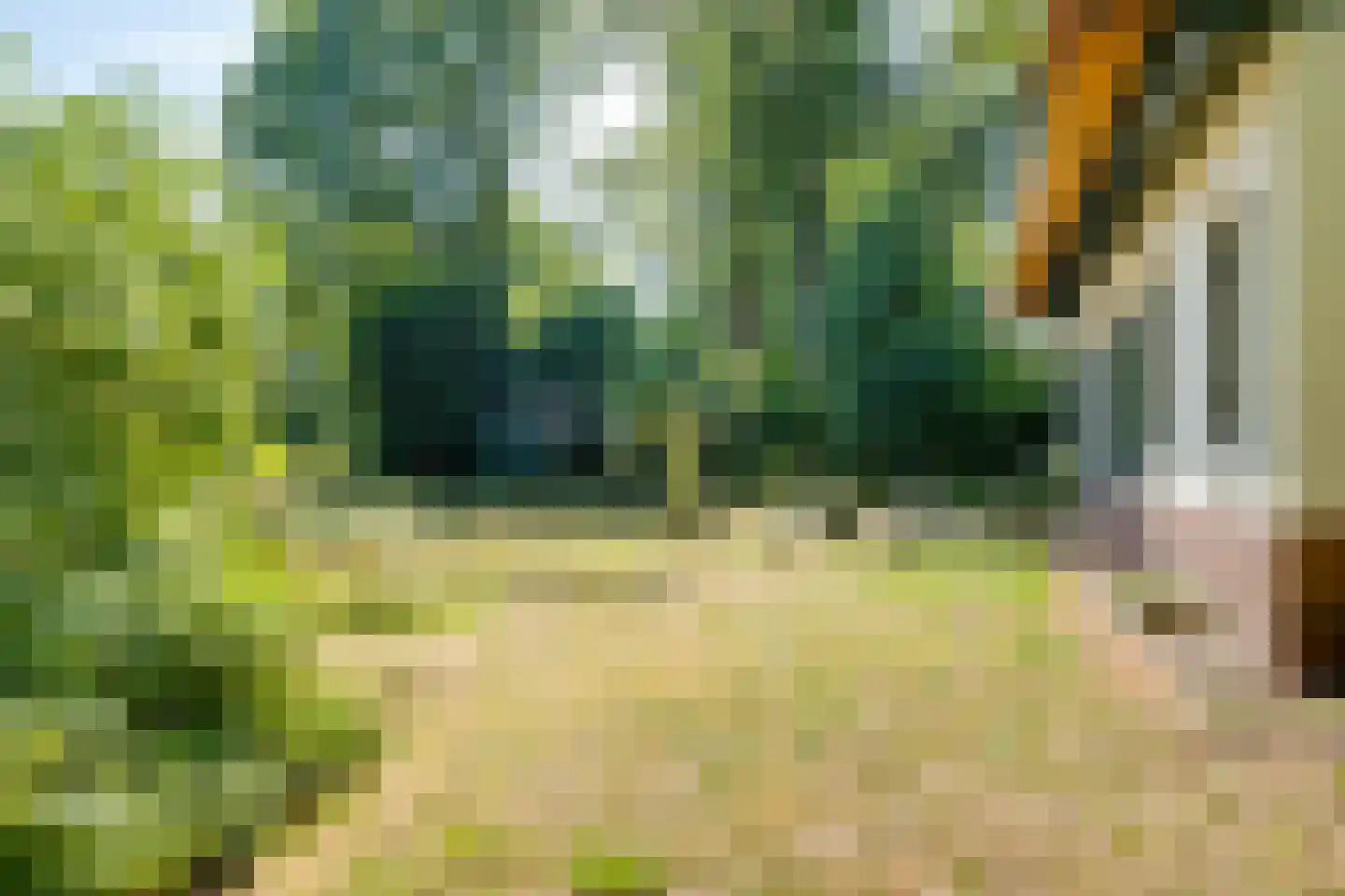 Dennenlaan 12 Barchem thumbnail 29