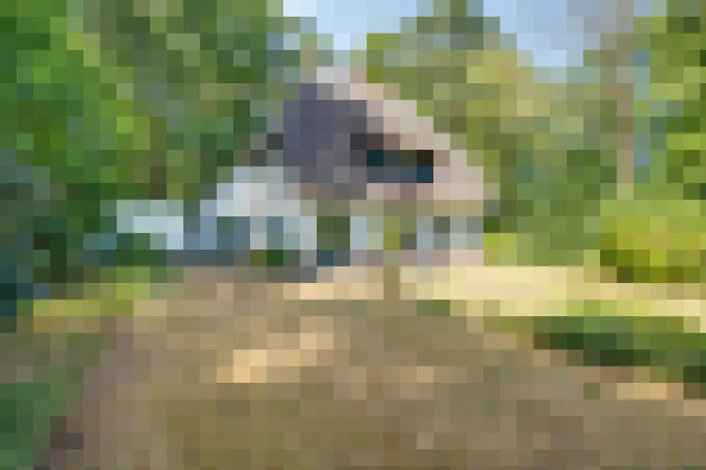 Dennenlaan 12 Barchem thumbnail 30