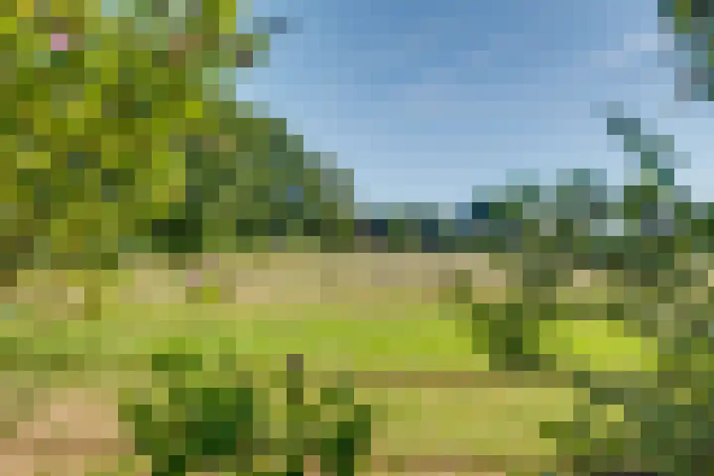 Dennenlaan 12 Barchem thumbnail 31