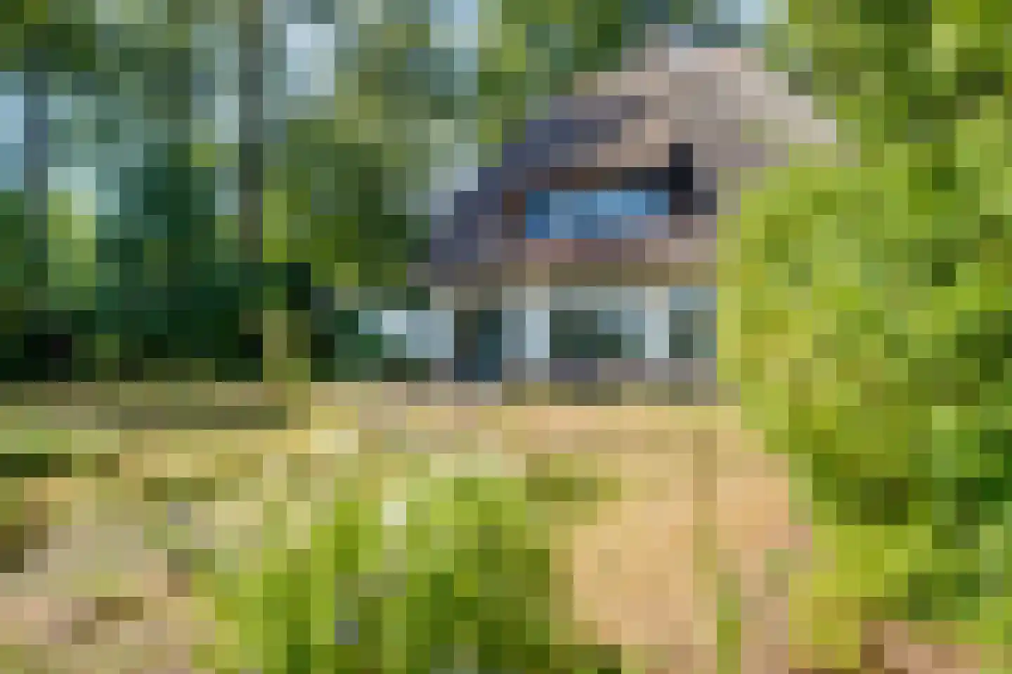 Dennenlaan 12 Barchem thumbnail 32