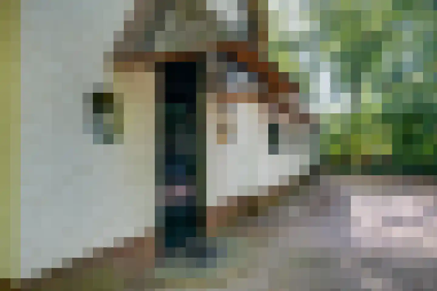 Dennenlaan 12 Barchem thumbnail 33