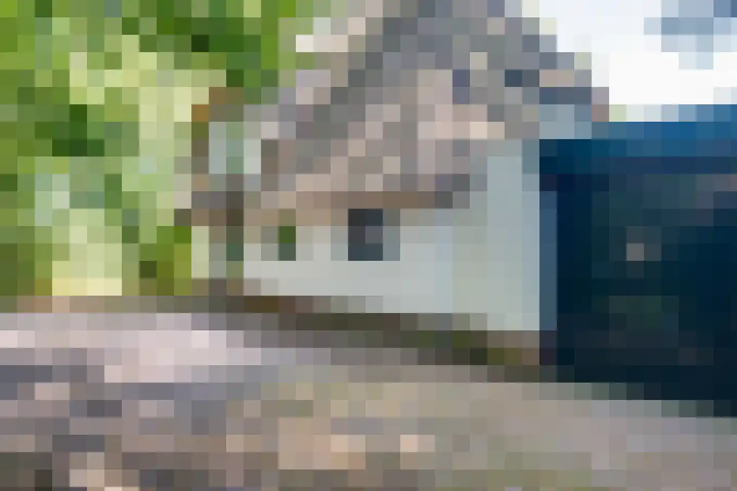 Dennenlaan 12 Barchem thumbnail 34