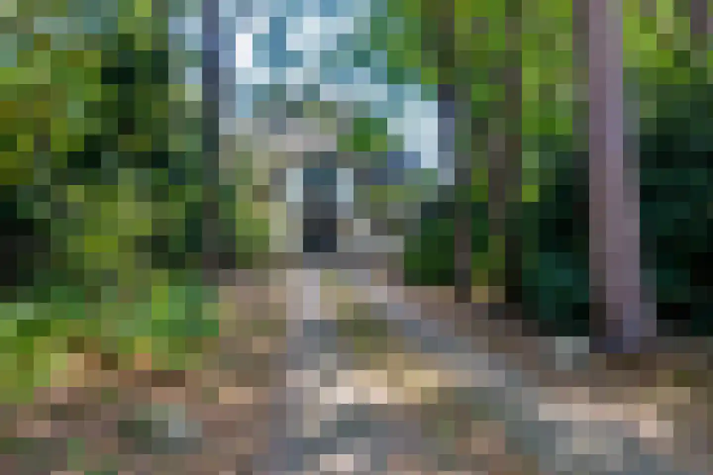 Dennenlaan 12 Barchem thumbnail 35