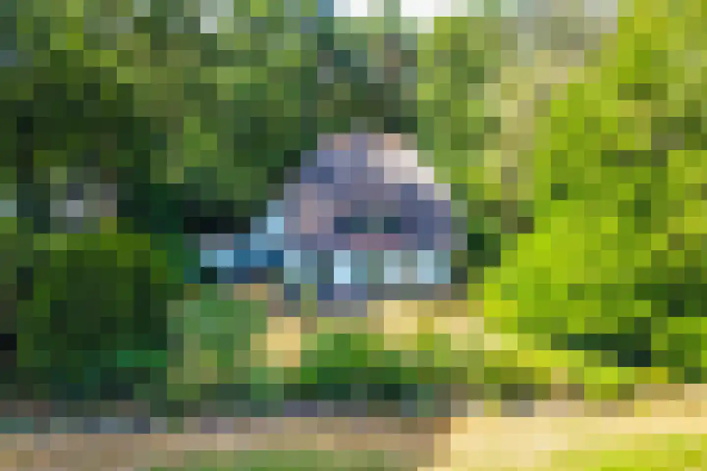 Dennenlaan 12 Barchem thumbnail 36