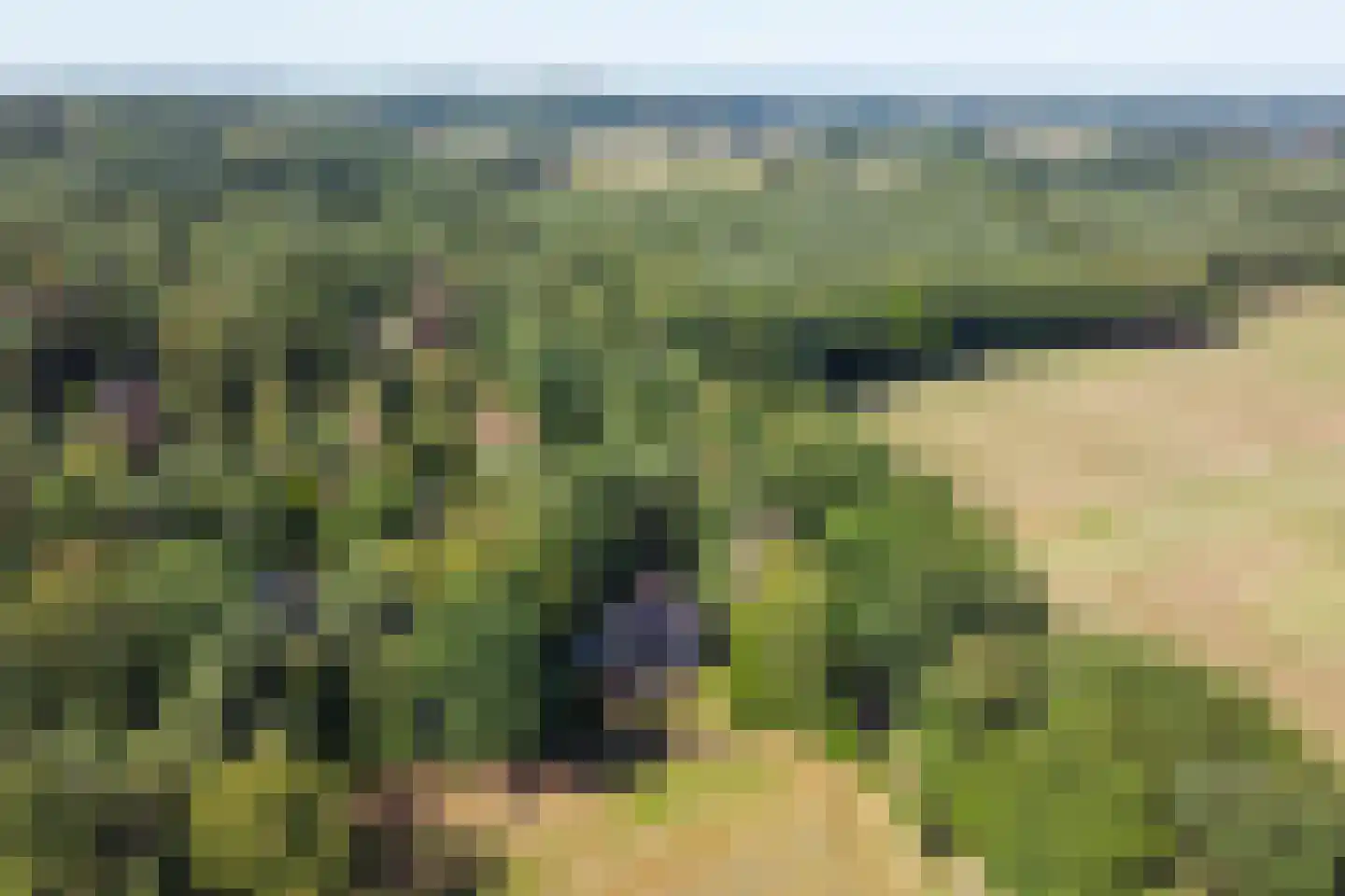 Dennenlaan 12 Barchem thumbnail 4
