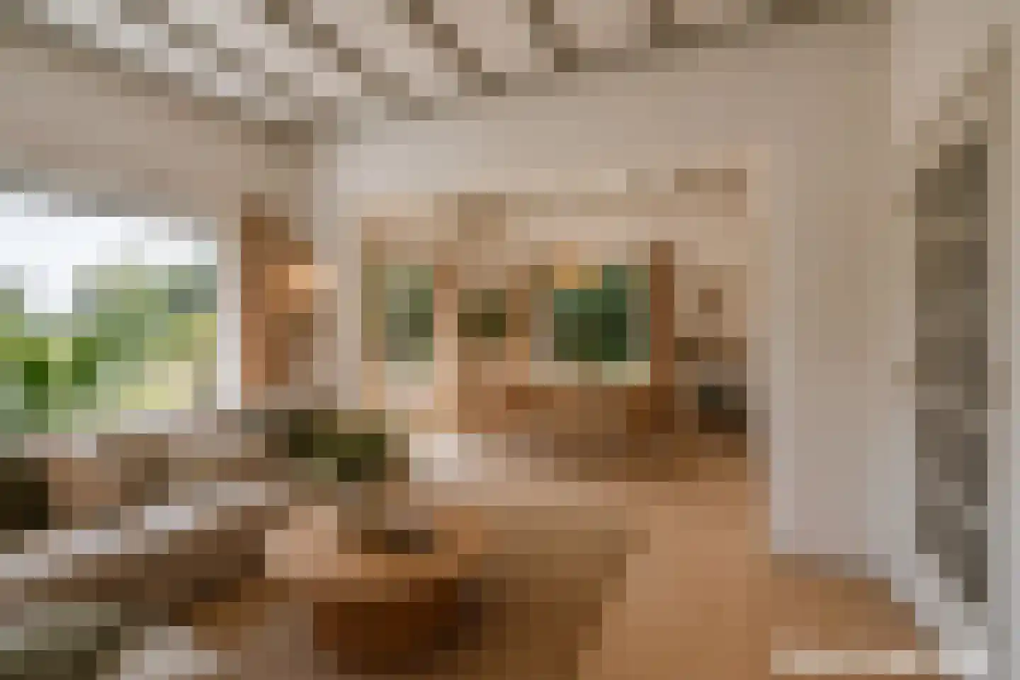 Dennenlaan 12 Barchem thumbnail 7