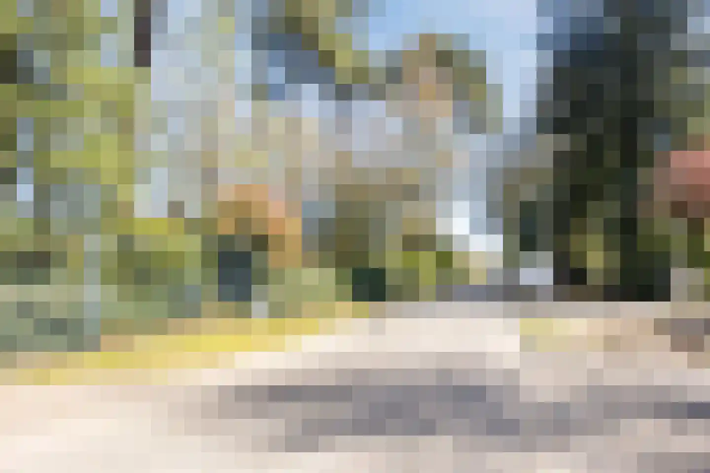 Dennenlaan 12 Hoogerheide thumbnail 10