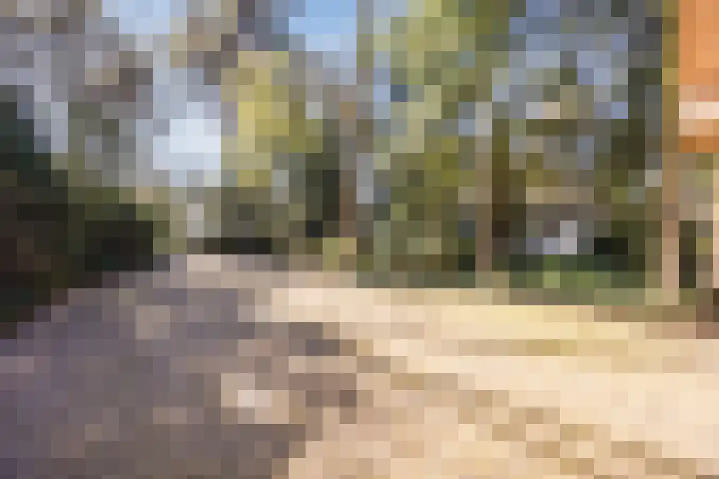 Dennenlaan 12 Hoogerheide thumbnail 101
