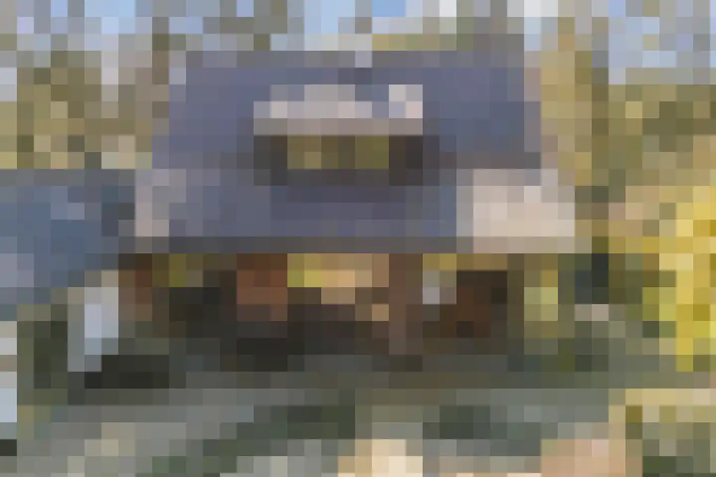 Dennenlaan 12 Hoogerheide thumbnail 102