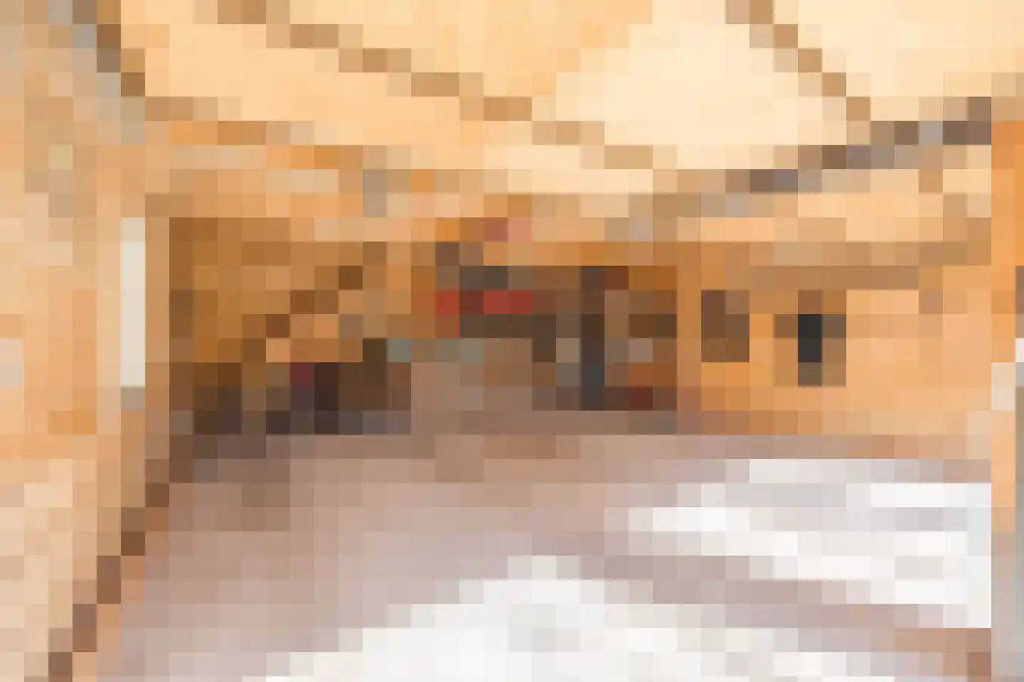 Dennenlaan 12 Hoogerheide thumbnail 102