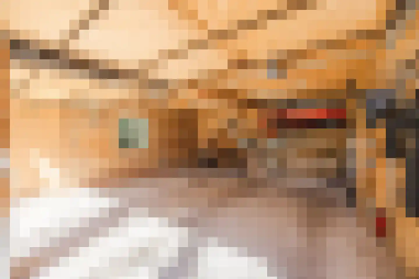 Dennenlaan 12 Hoogerheide thumbnail 103