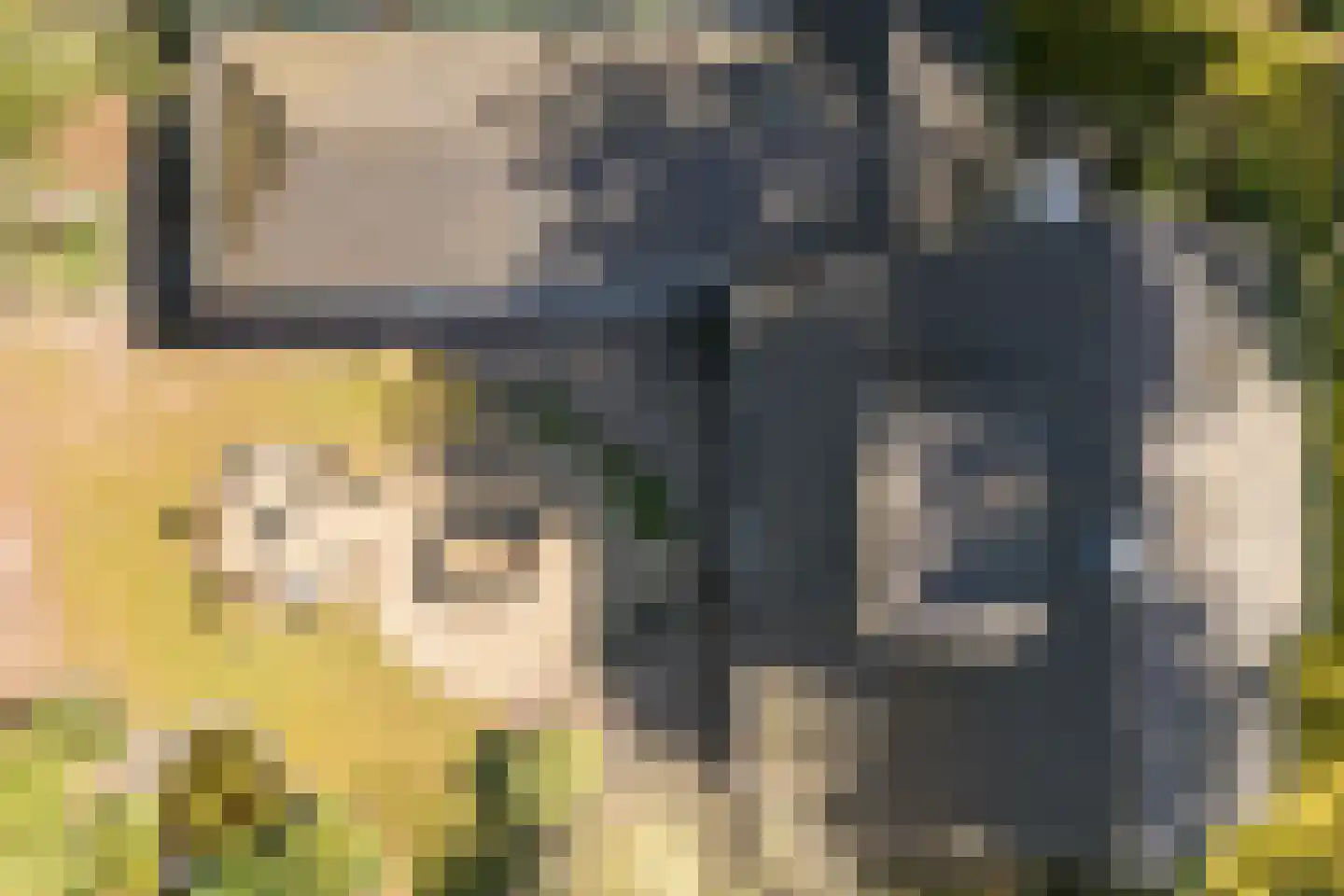 Dennenlaan 12 Hoogerheide thumbnail 103