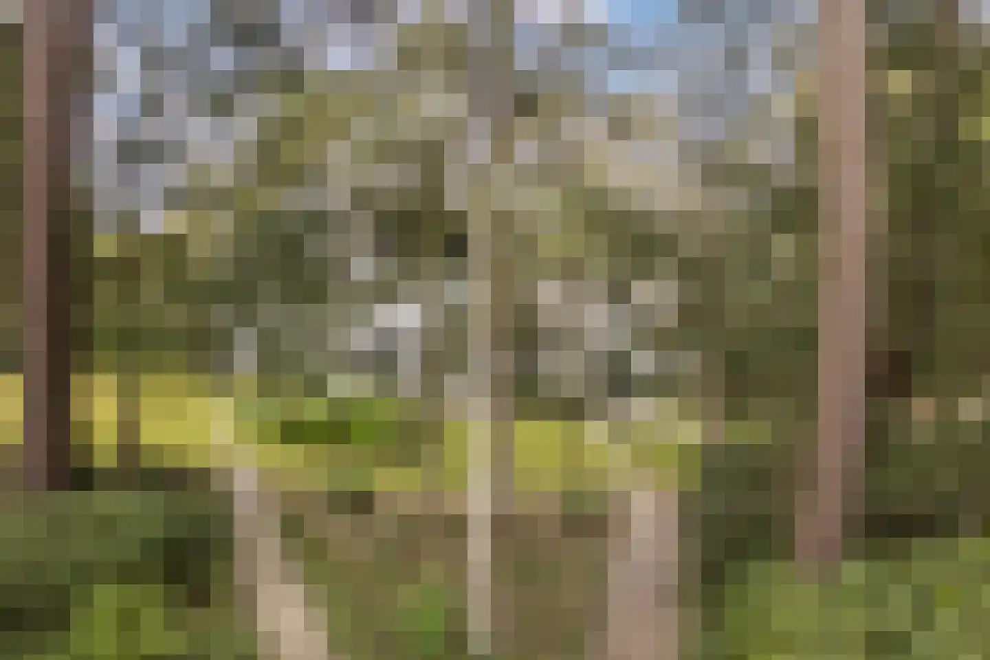 Dennenlaan 12 Hoogerheide thumbnail 104