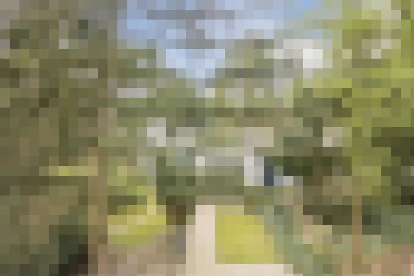 Dennenlaan 12 Hoogerheide thumbnail 105