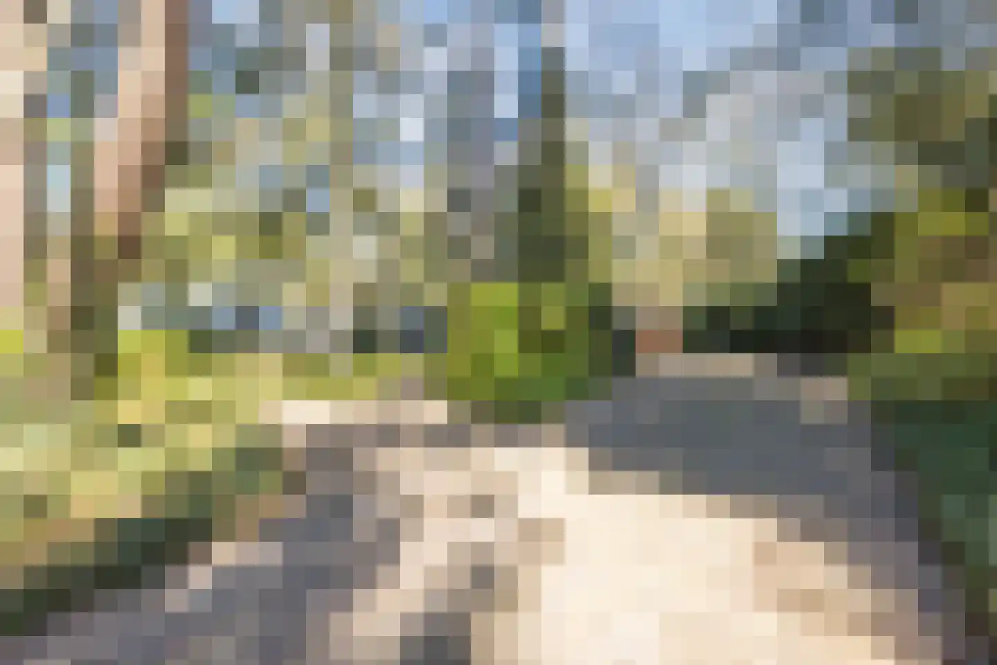 Dennenlaan 12 Hoogerheide thumbnail 11