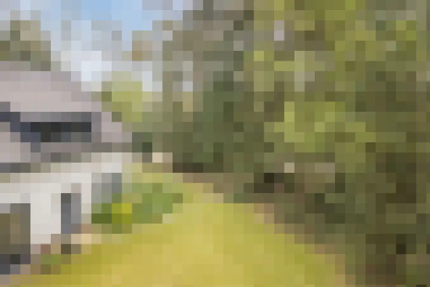 Dennenlaan 12 Hoogerheide thumbnail 112