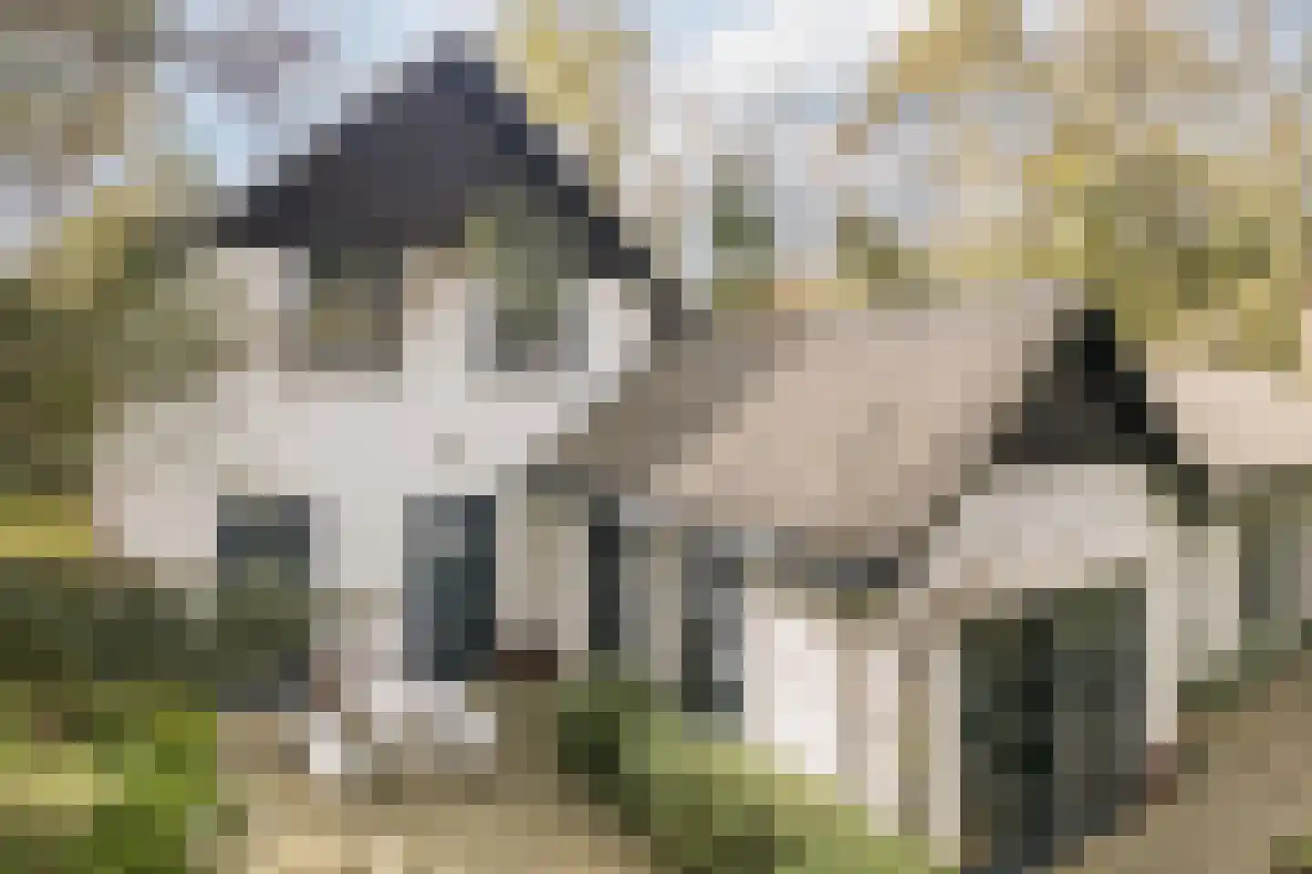 Dennenlaan 12 Hoogerheide thumbnail 113