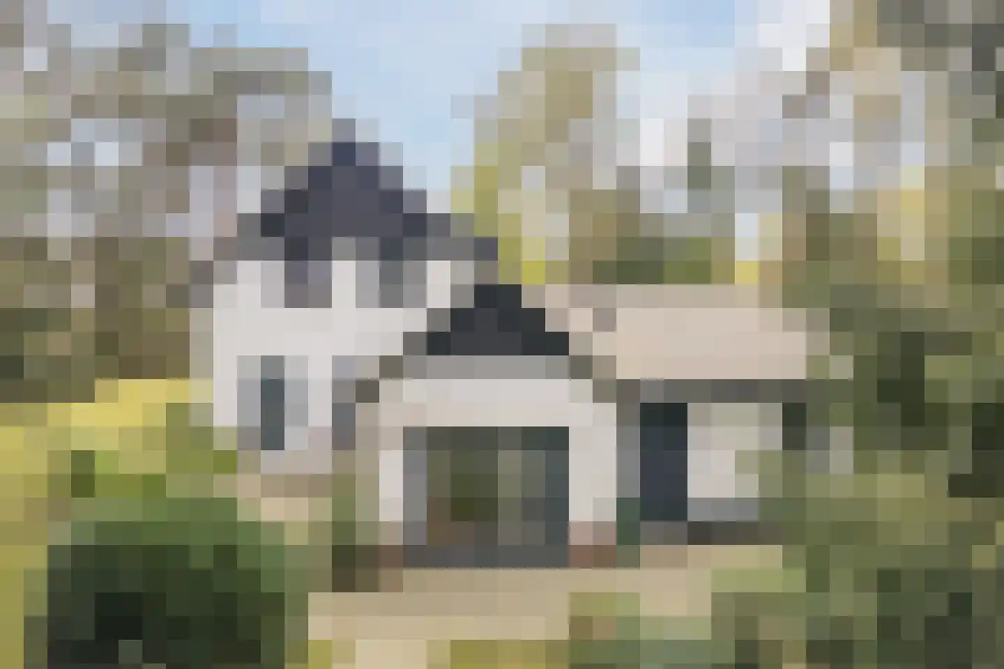 Dennenlaan 12 Hoogerheide thumbnail 115