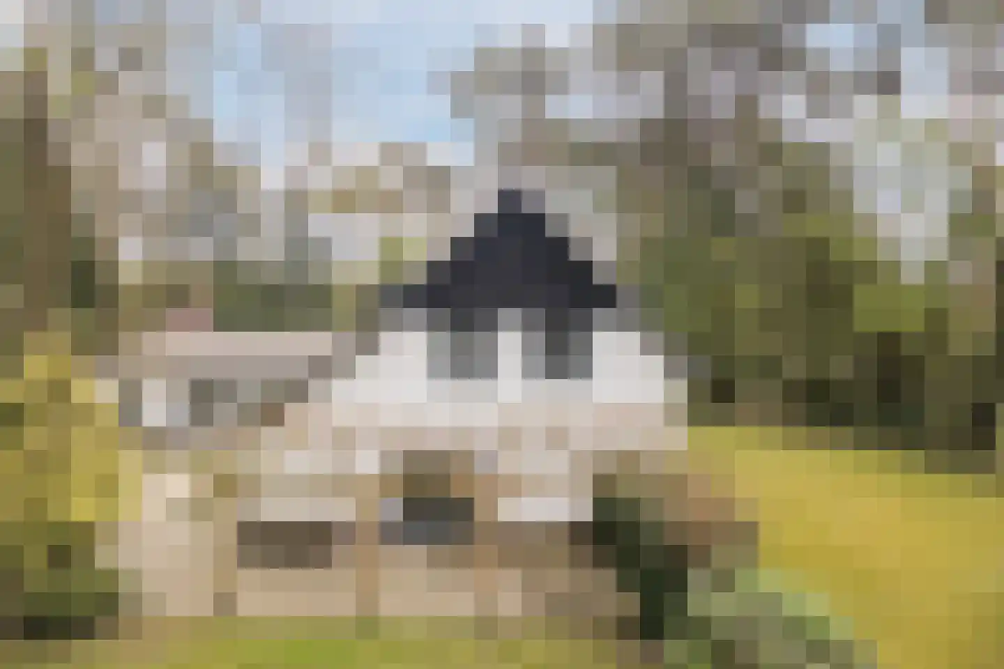 Dennenlaan 12 Hoogerheide thumbnail 116