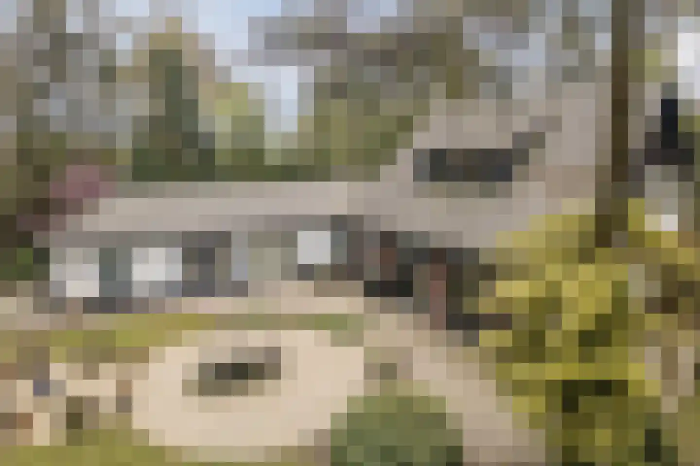 Dennenlaan 12 Hoogerheide thumbnail 118