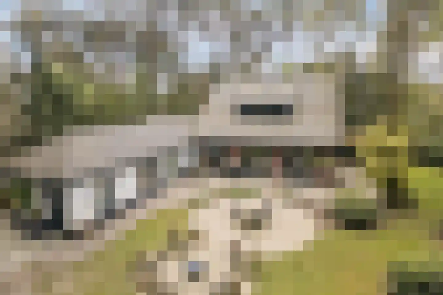Dennenlaan 12 Hoogerheide thumbnail 119