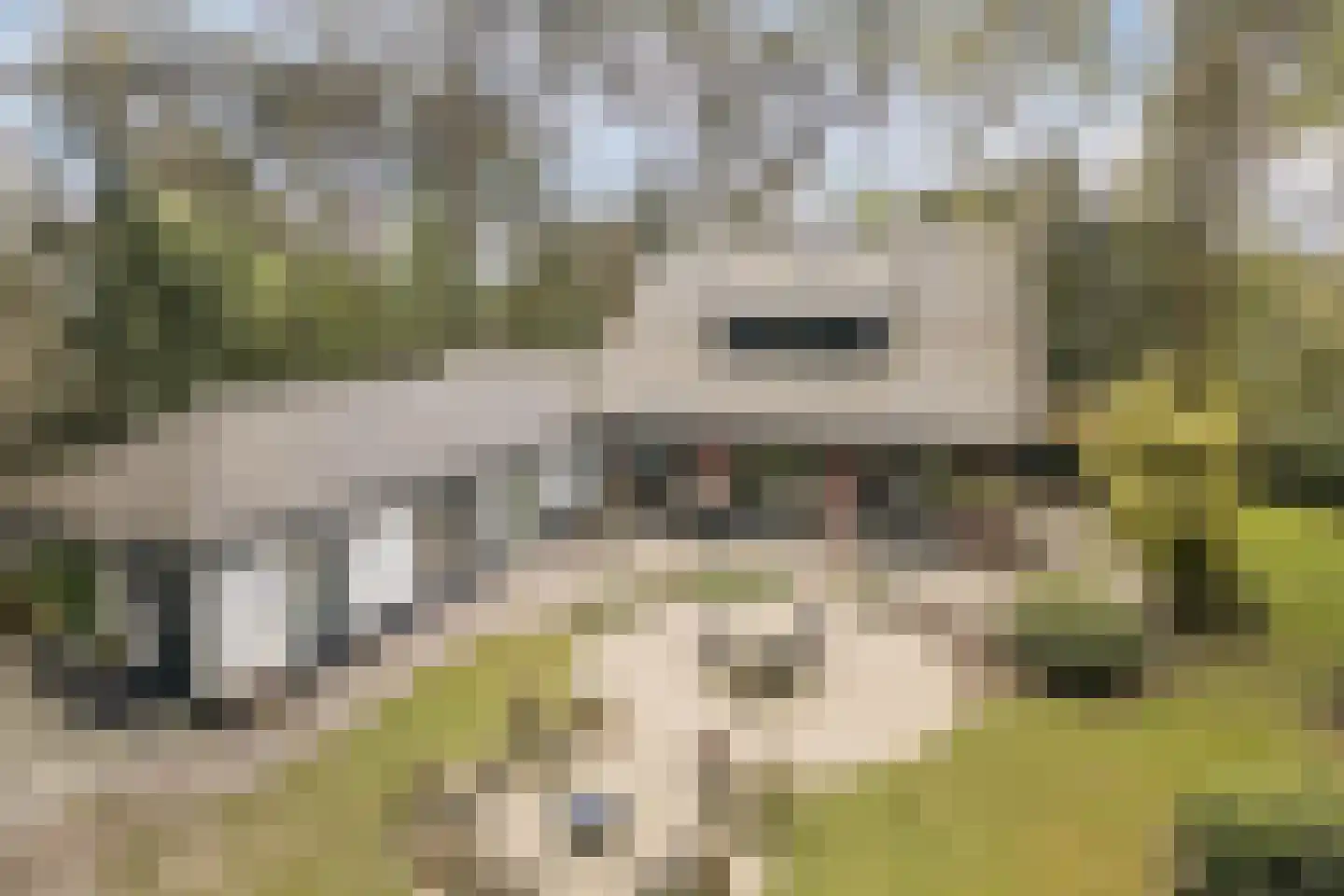 Dennenlaan 12 Hoogerheide thumbnail 12