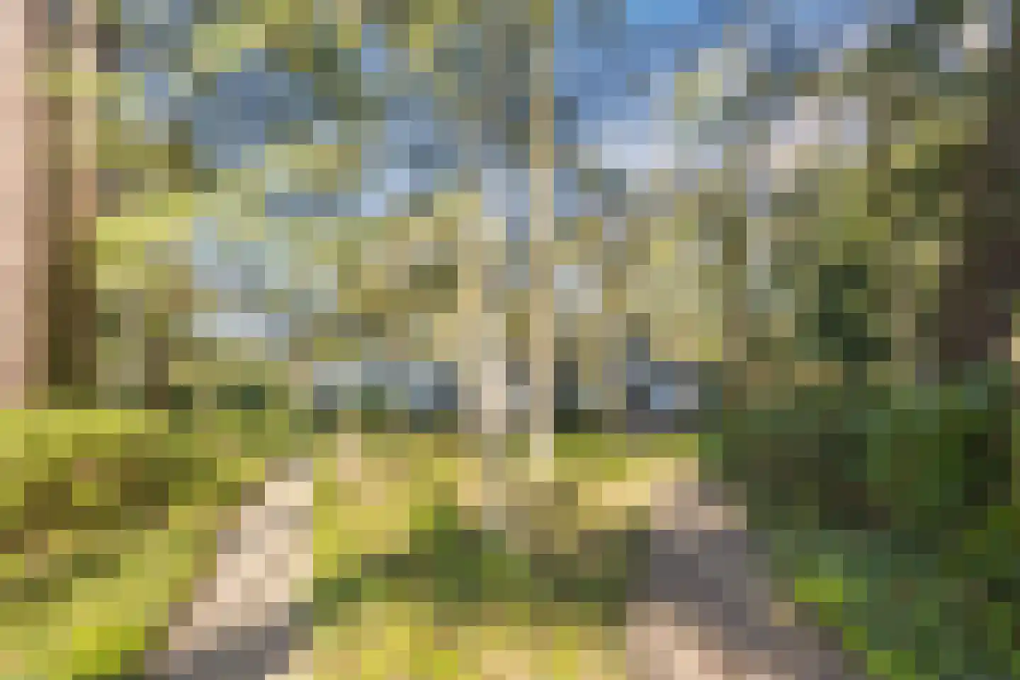 Dennenlaan 12 Hoogerheide thumbnail 12