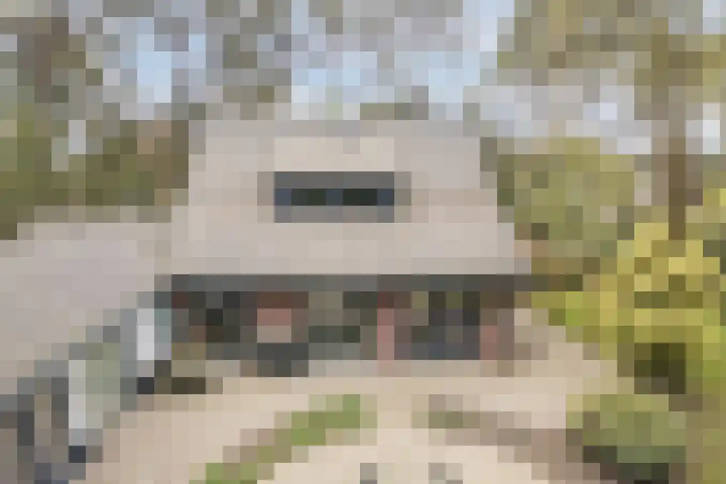 Dennenlaan 12 Hoogerheide thumbnail 121