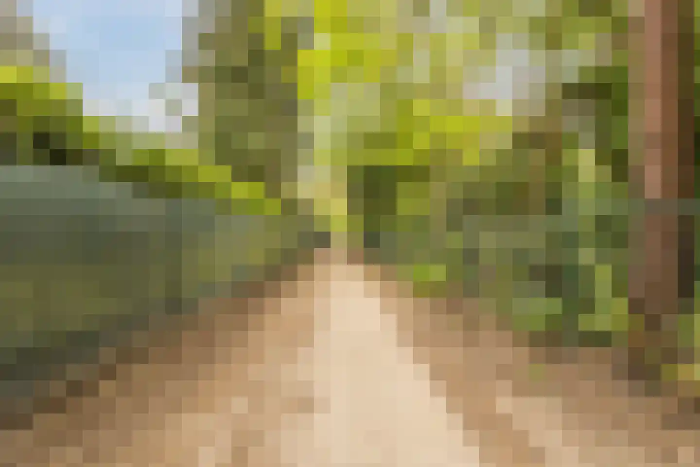 Dennenlaan 12 Hoogerheide thumbnail 122