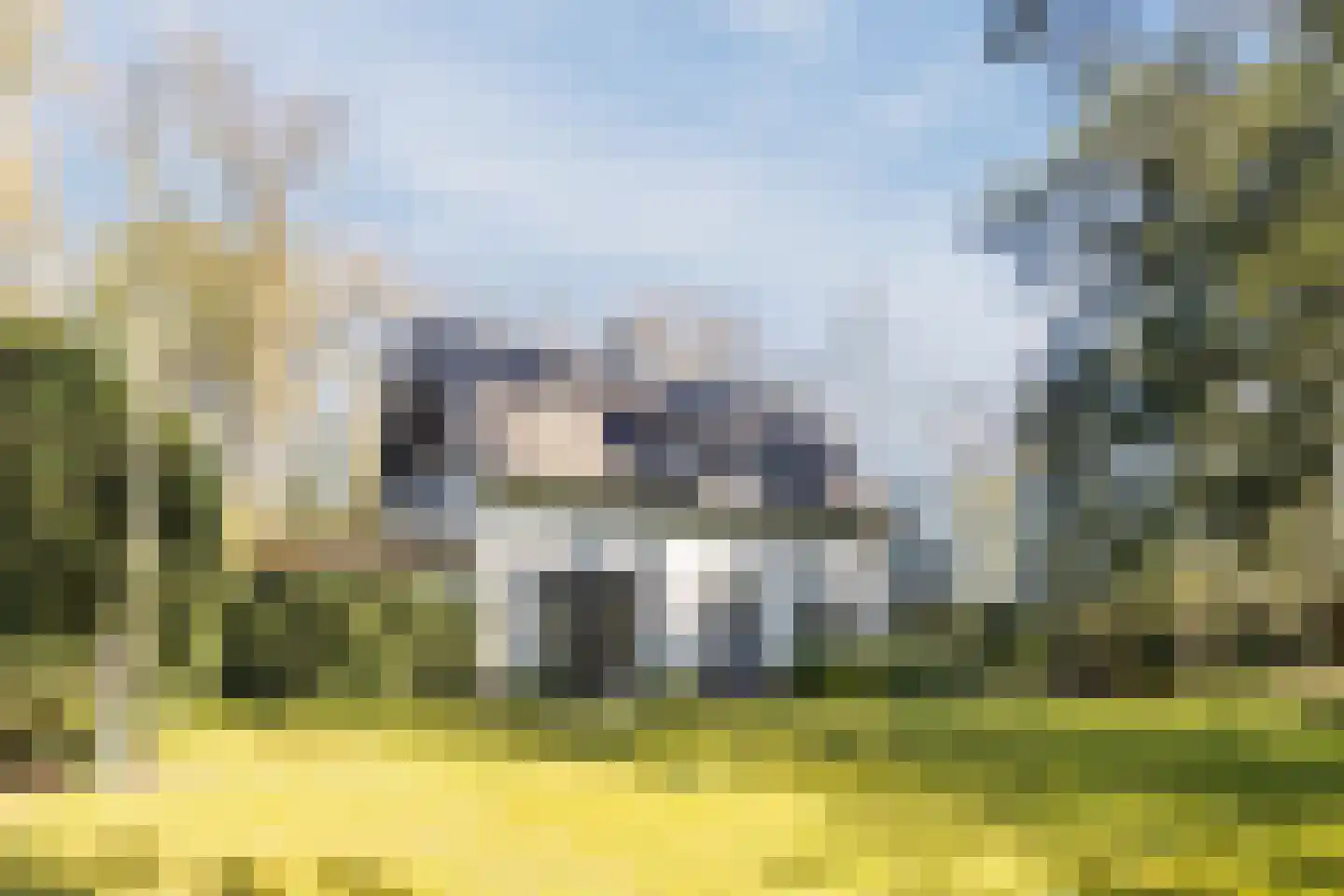 Dennenlaan 12 Hoogerheide thumbnail 15