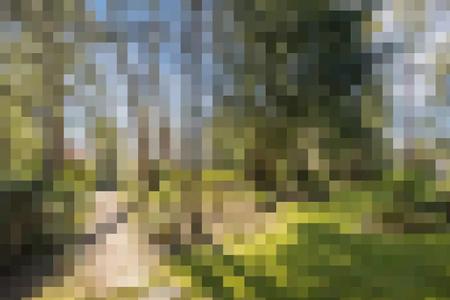 Dennenlaan 12 Hoogerheide thumbnail 17