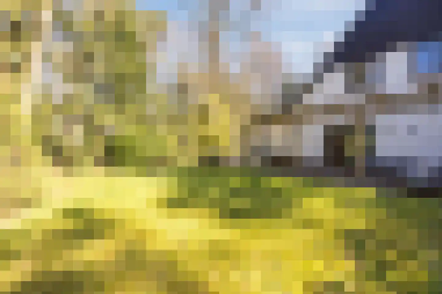 Dennenlaan 12 Hoogerheide thumbnail 5