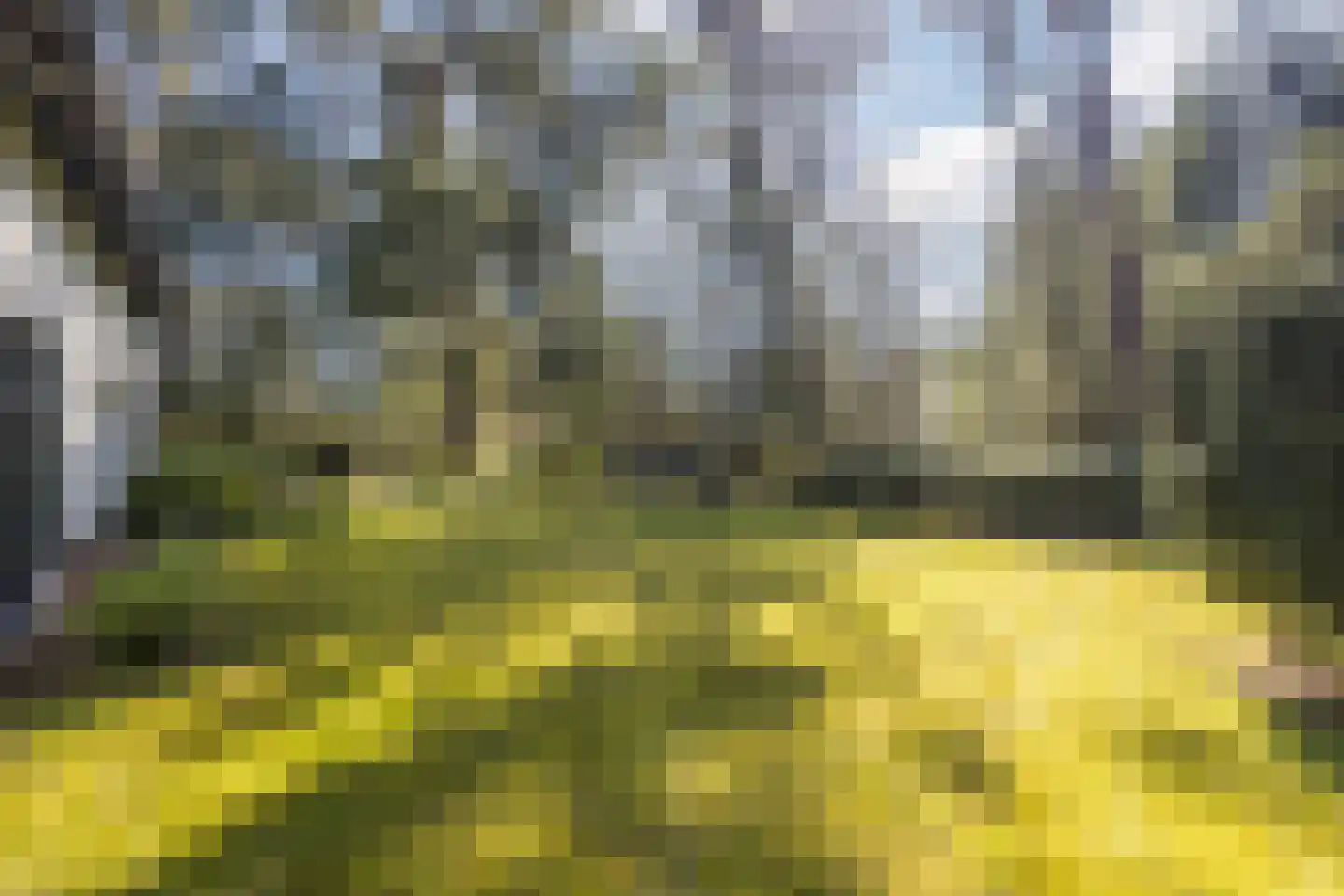 Dennenlaan 12 Hoogerheide thumbnail 6