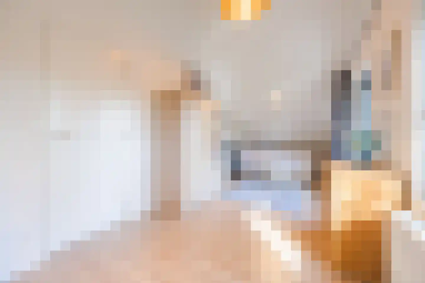 Dennenlaan 12 Hoogerheide thumbnail 60