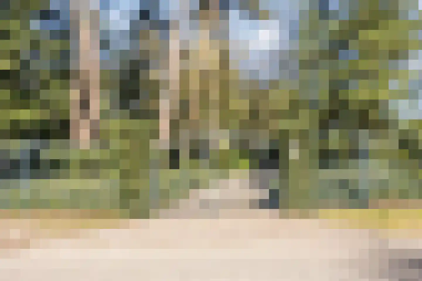 Dennenlaan 12 Hoogerheide thumbnail 7