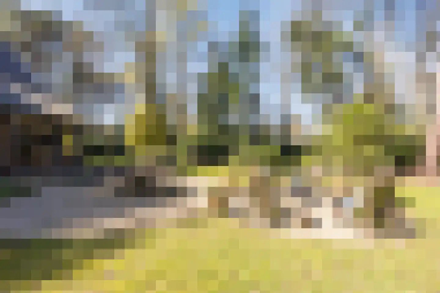 Dennenlaan 12 Hoogerheide thumbnail 71