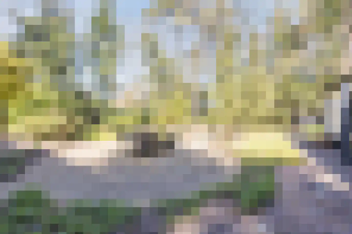 Dennenlaan 12 Hoogerheide thumbnail 72