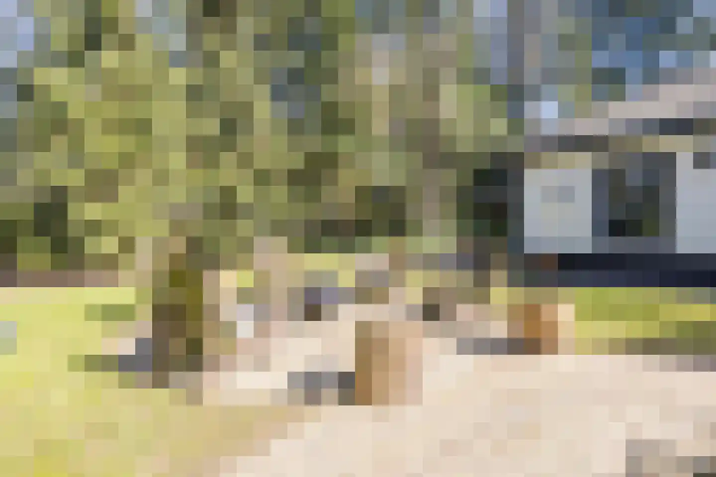 Dennenlaan 12 Hoogerheide thumbnail 75