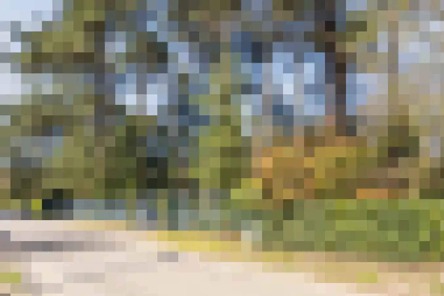Dennenlaan 12 Hoogerheide thumbnail 8