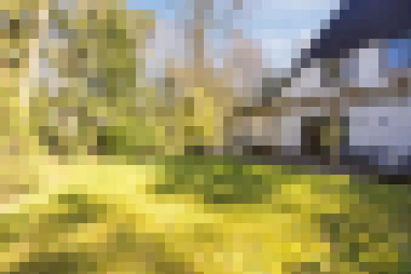 Dennenlaan 12 Hoogerheide thumbnail 81