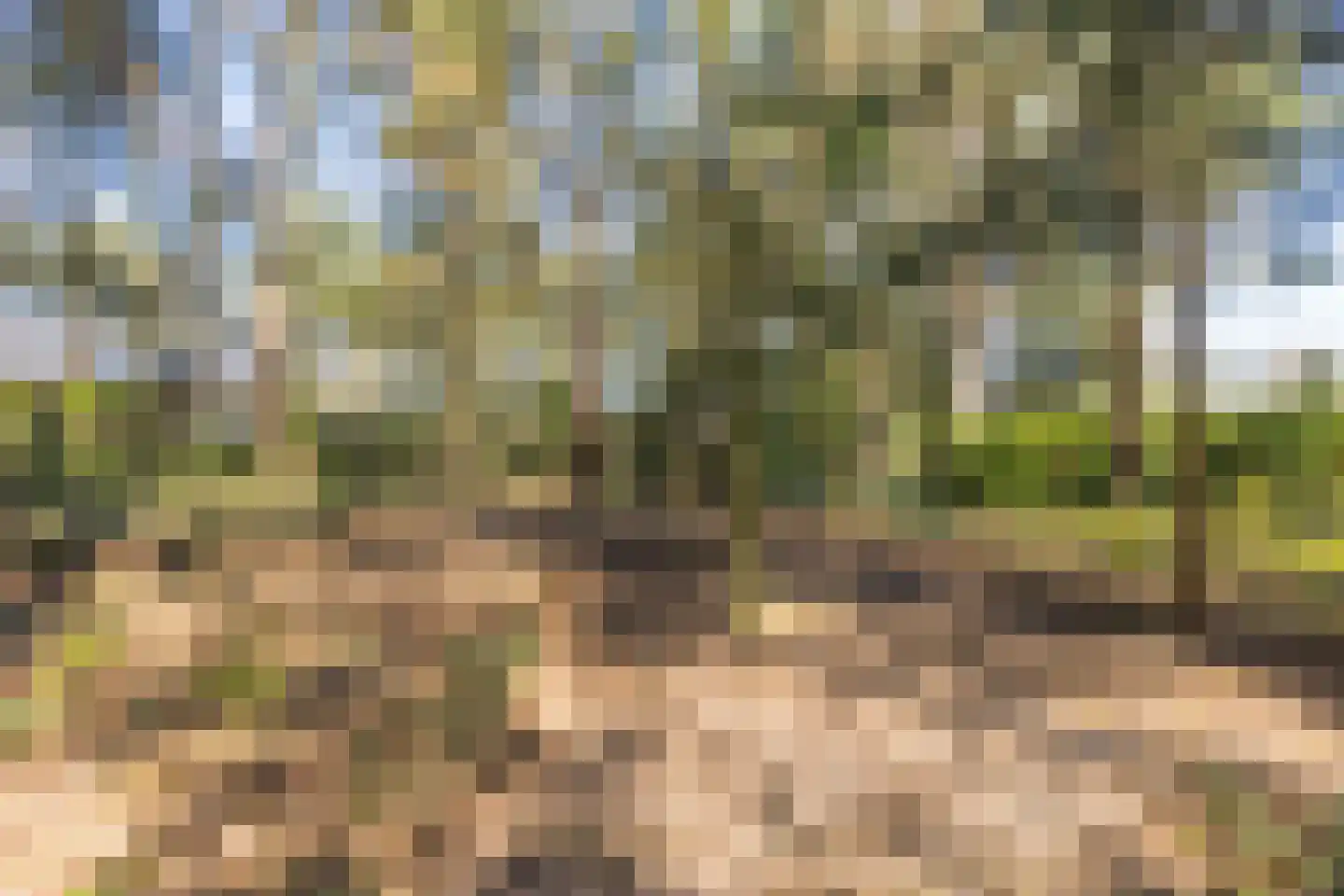 Dennenlaan 12 Hoogerheide thumbnail 82