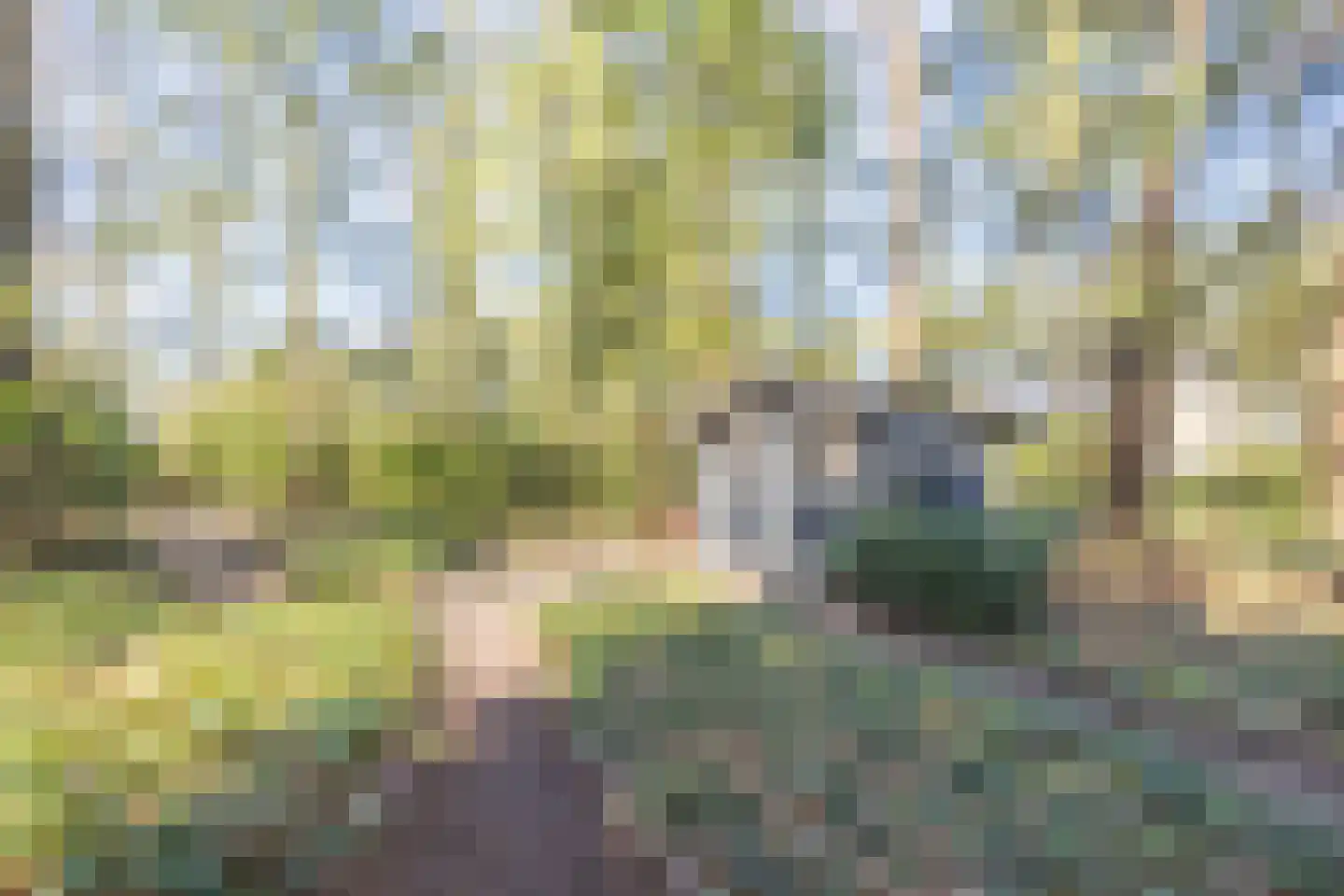Dennenlaan 12 Hoogerheide thumbnail 84
