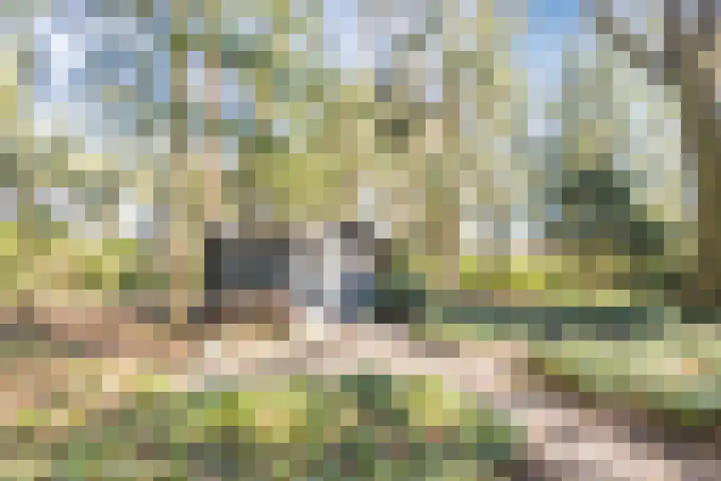 Dennenlaan 12 Hoogerheide thumbnail 85