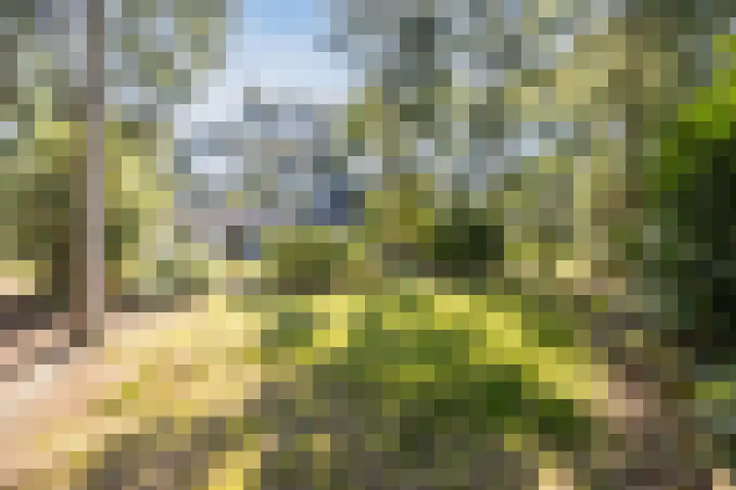 Dennenlaan 12 Hoogerheide thumbnail 86