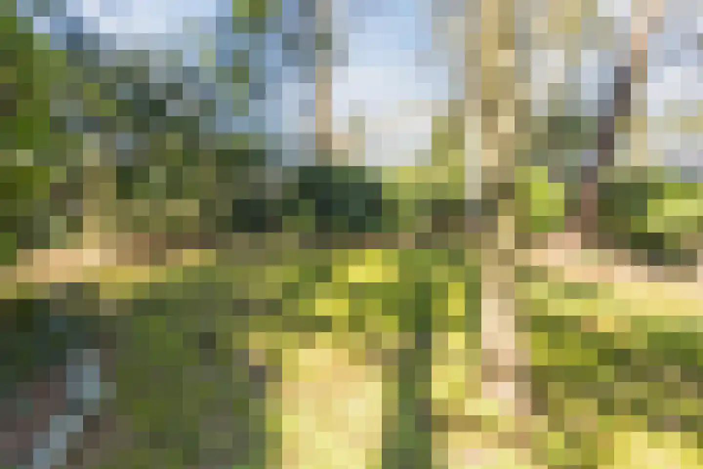 Dennenlaan 12 Hoogerheide thumbnail 87